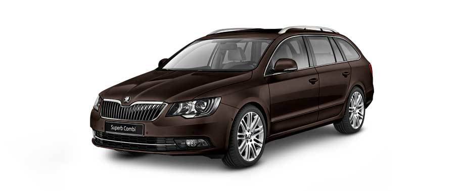 Magnetic brown skoda