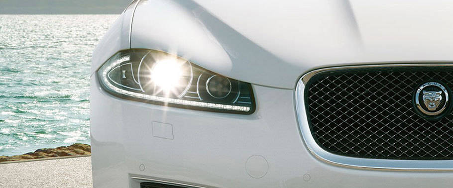 เอ็กซ์เอฟ พอร์ตฟอลิโอ Headlight เอ็กซ์เอฟ พอร์ตฟอลิโอ Headlight