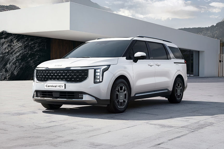 Carnival Front angle low view