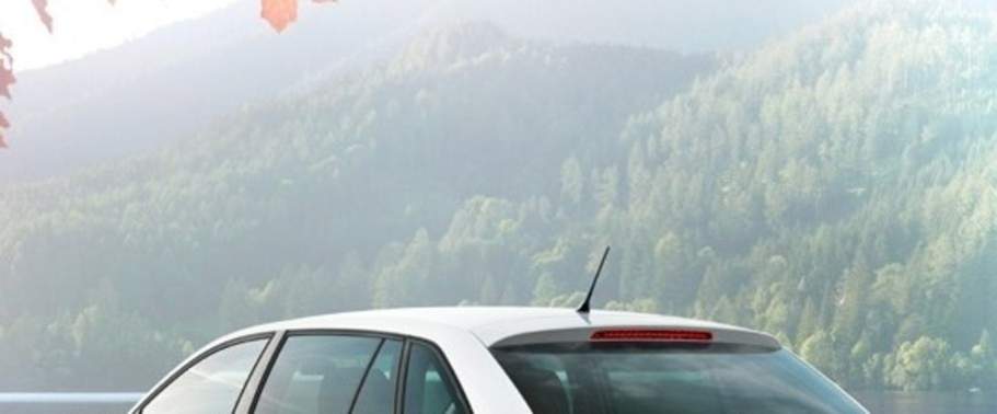 Rapid Spaceback Greenline Roof Antenna Rapid Spaceback Greenline Roof Antenna