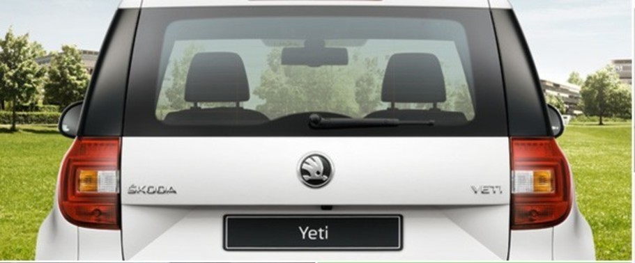 Yeti Tail light