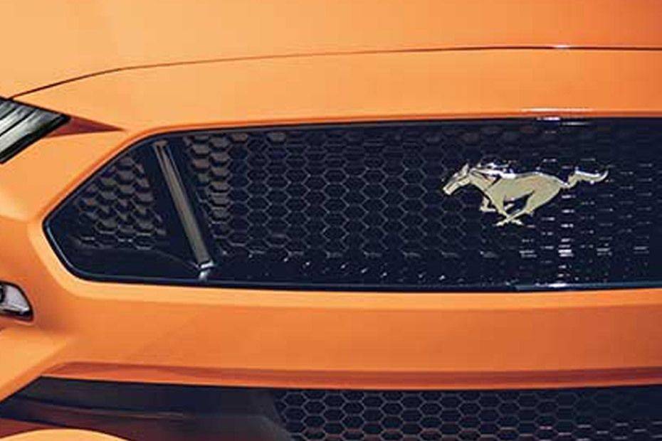Mustang Grille View Mustang Grille View