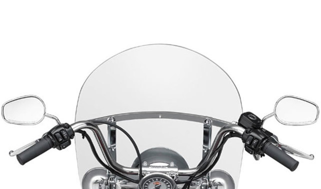 ฮาร์เลย์-เดวิดสัน ซอฟเทล Back Side View