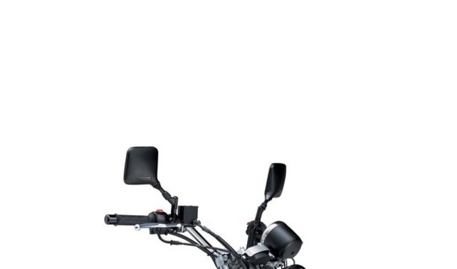 ซูซูกิ อาร์วี 125  Back Side View