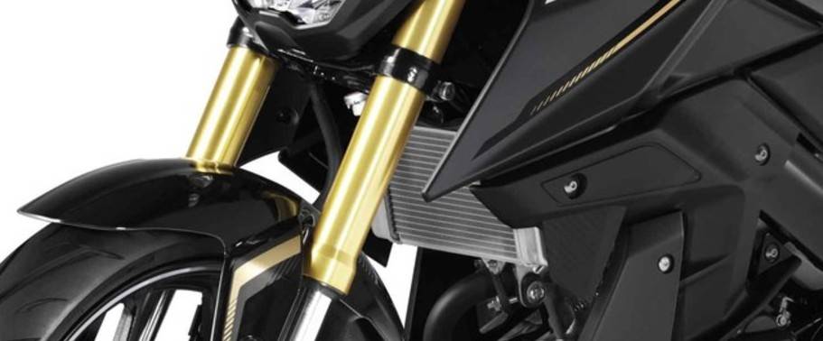 Yamaha M-Slaz Cooling System Yamaha M-Slaz Cooling System