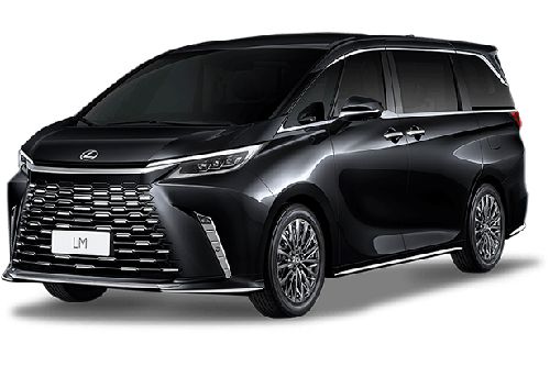 Graphite Black Glass Flake