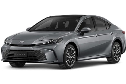 Cement Gray Metallic