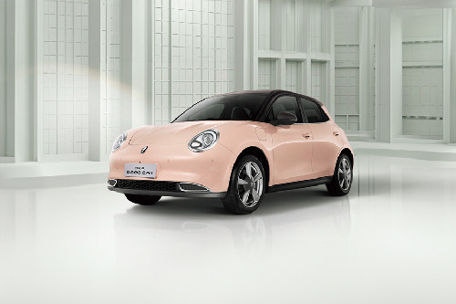 Ora Good Cat Front angle low view