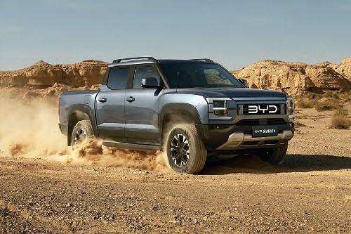 Shark 6 Front angle low view