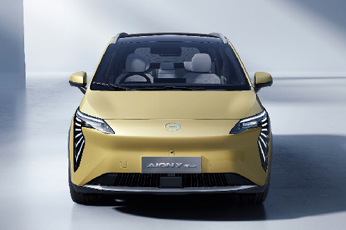 Full Front View of Y Plus