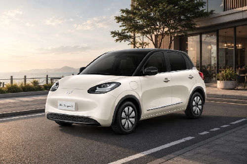 Wuling BINGUO EV Wuling BINGUO EV
