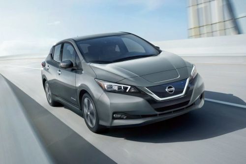 ลีฟ Medium Angle Front View