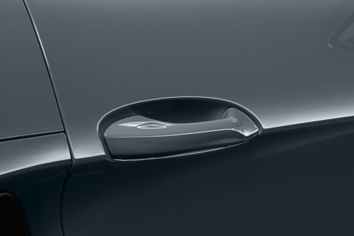 718 Door handle