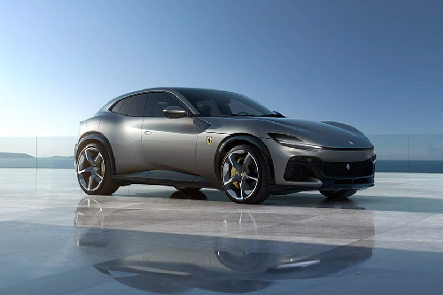 Purosangue Front angle low view