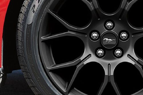 Mustang Wheel