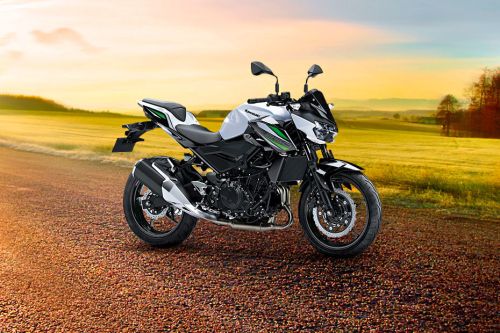 คาวาซากิ ซี 250 2019 Slant Rear View Full Image