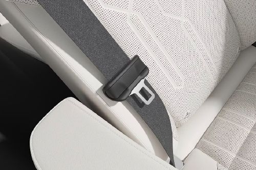 009 Seat Belt